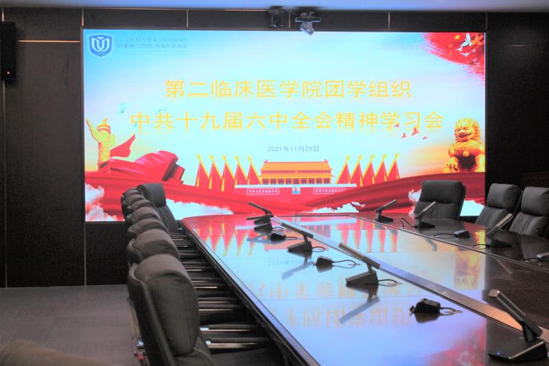 1  第二臨床醫(yī)學(xué)院中共十九屆六中全會精神學(xué)習(xí)會正式舉行.jpg